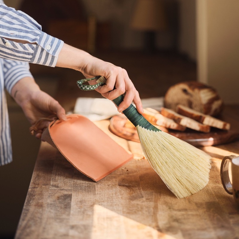 Tampico Wing and Dustpan Set